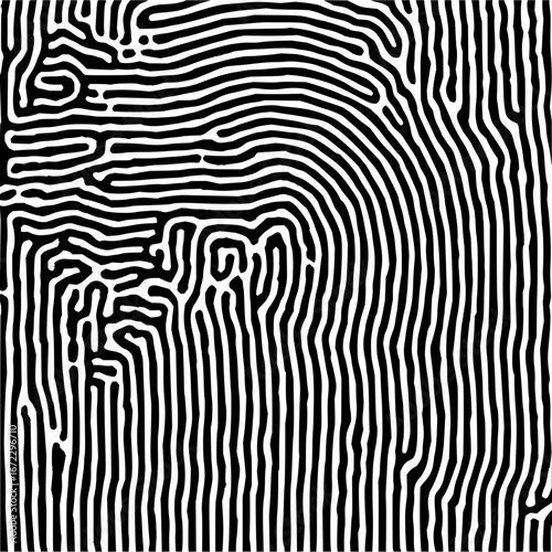 Abstract black and white fingerprint pattern design vector graphic illustration artwork image art 100