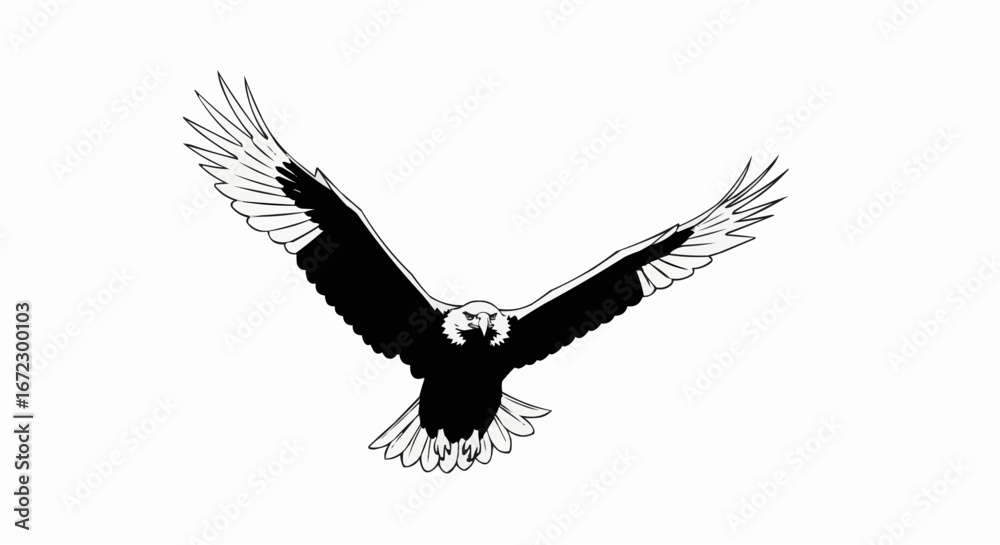 Naklejka premium Bald Eagle hunting black silhouette vector icon, American eagle wild prey bird flight, falcon or hawk carnivore animal stock 