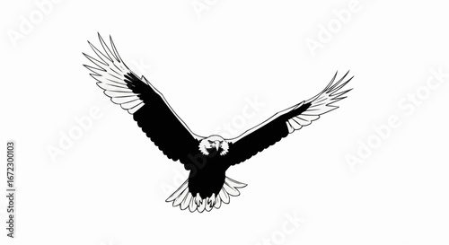 Bald Eagle hunting black silhouette vector icon, American eagle wild prey bird flight, falcon or hawk carnivore animal stock 