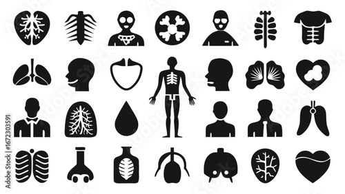 Human anatomy internal organs and body parts medical icons human body lungs