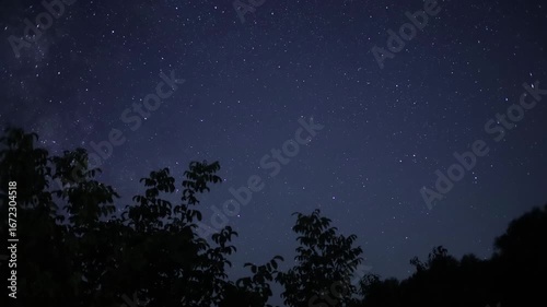 Milky way galaxy rising above trees at night