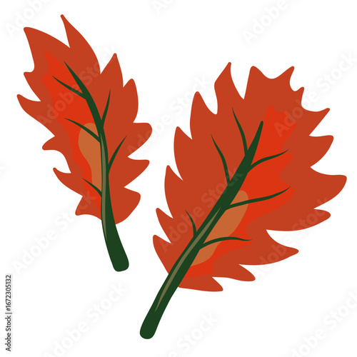 Red oak leaf vector illustration. Set of feather shape small and big red autumn leaves with green stem and veins. Isolated elements on transparent background