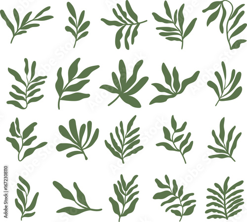 Hand Drawn Green Leaf Silhouettes Collection. Set of hand drawn botanical green leaf silhouettes. Perfect for nature design, eco projects, patterns, packaging, invitations, and digital art