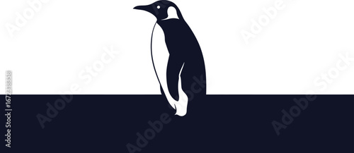 Penguin bird antarctic animal wildlife nature cold ice arctic black white