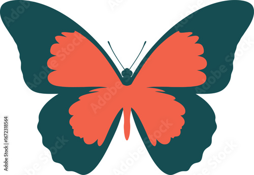 Butterfly insect wings nature spring summer colorful flight beauty animal art