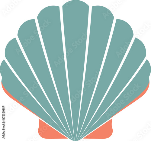 Seashell ocean beach sea summer marine nature shell aquatic coast tropical vacation