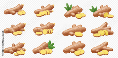 Collection of twelve ginger root illustrations, whole and sliced, with and without leaves.