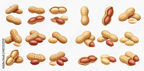 Collection of peanuts in shells, shelled peanuts, and peanut halves, displayed in various arrangements.