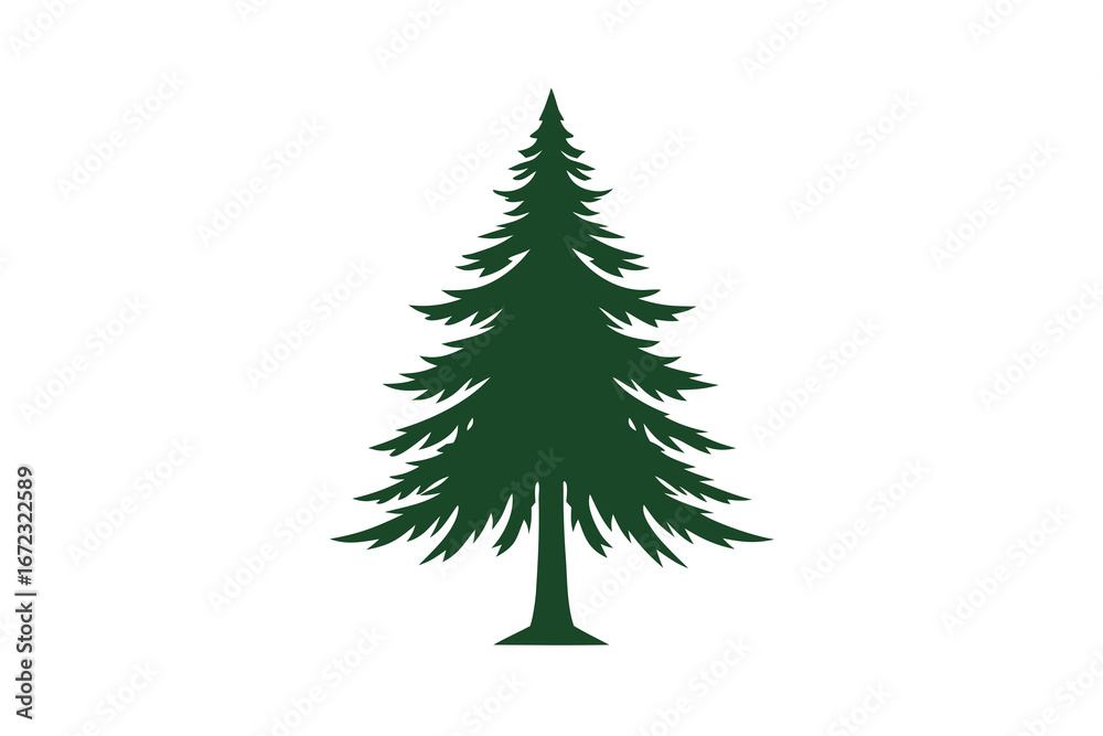 Obraz premium christmas tree isolated on white