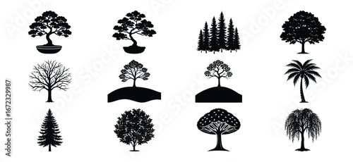 Collection of twelve different tree silhouettes in black and white for design elements