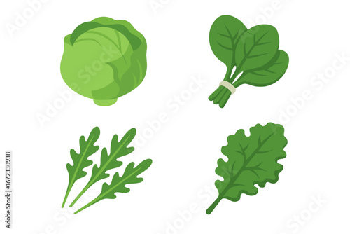 Fresh salad greens icons. Isometric flat icon set with lettuce head, spinach bunch, arugula leaves, and kale leaf. Vector illustration for healthy eating, organic food, vegetarian.