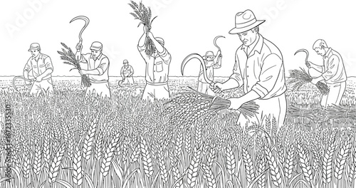 Farmers harvesting wheat field agriculture rural scene crop farm labor harvest rye