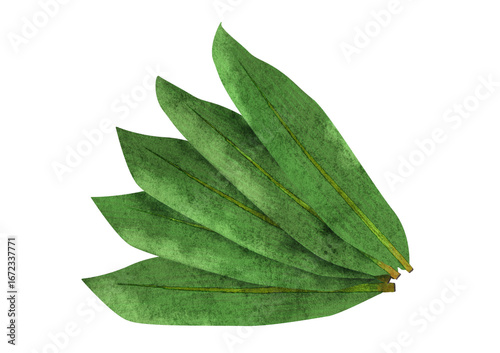 5枚の笹の葉の水彩風イラスト