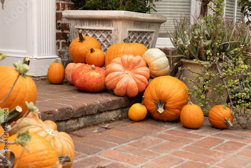 Variety of pumpkins and gourds of different sizes and white pumpkins arranged artfully as decoration for autumn fall on a brick patio in suburbs