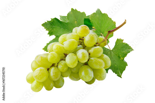 a bunch of green grapes with leaves on an  isolated on a transparent background in PNG format.