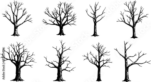 vector set of Isolated Concept Of Dead Trees Set
