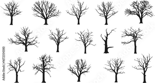 vector set of Isolated Concept Of Dead Trees Set
