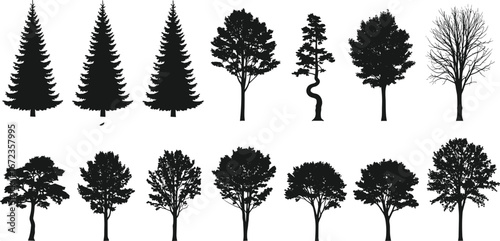 PrintVector silhouettes of fifteen assorted trees in two rows, featuring coniferous and deciduous species, varied shapes, twisted trunk, branches, foliage diversity
