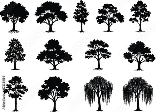 Collection of Black Tree Silhouettes Vector Art Featuring Oak, Pine, Willow Trees with Branches and Roots for Nature and Landscape Design Projects