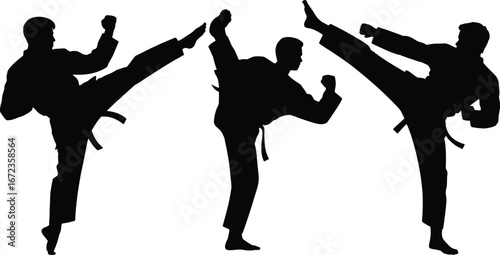 Dynamic silhouettes of martial artists performing high kicks in martial arts combat training