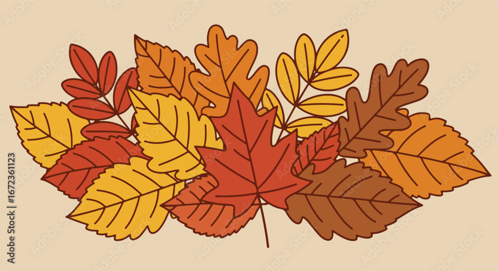 Fototapeta premium Displaying autumn leaves in a pile