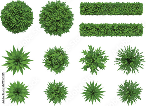 Top view green bushes and shrubs collection, various garden plants and hedges illustrations, landscaping design elements, isolated on white background