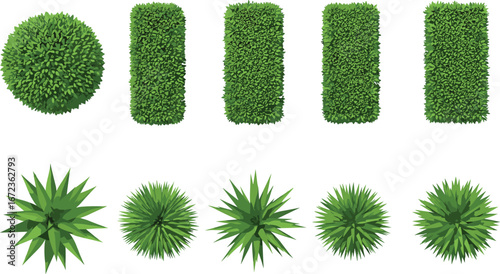 Top view of assorted green garden bushes, leafy shrubs, and spiky plants collection, isolated landscaping foliage vector elements set for outdoor design