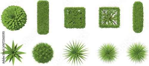 Top View of Bushes and Shrubs Collection – Landscape Vector Elements for Garden, Park, or Outdoor Design with Realistic Green Plant Textures