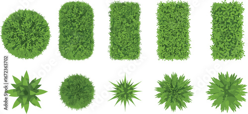 Top view of green bushes and shrubs collection, various shaped garden plants and landscape greenery elements isolated on white background vector