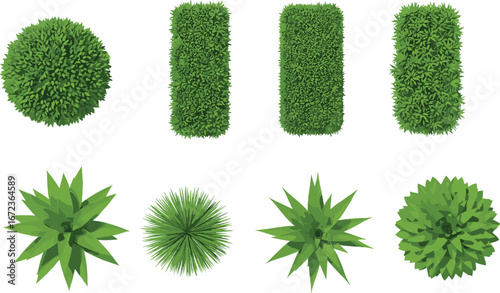 Top view of various green shrubs, hedges, and spiky plants with diverse leaf textures and shapes, perfect for landscape design and garden decoration.