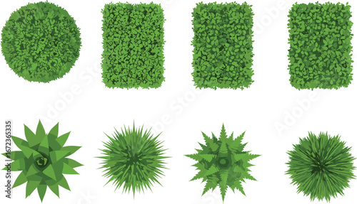 Top view vector illustration of diverse green bushes and spiky plants, perfect for garden design, landscaping projects, outdoor nature, and environmental visuals.