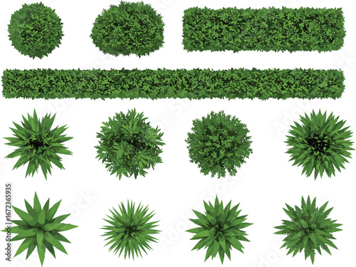 Top view vector illustration of diverse green bushes, shrubs, hedges, and foliage elements for landscaping, garden design, architecture, nature projects, and outdoor environment visuals.