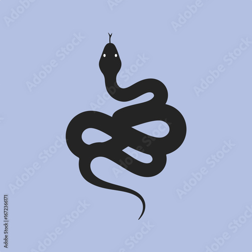 Snake Coiled, Sticking Tongue out, on a Blue Background