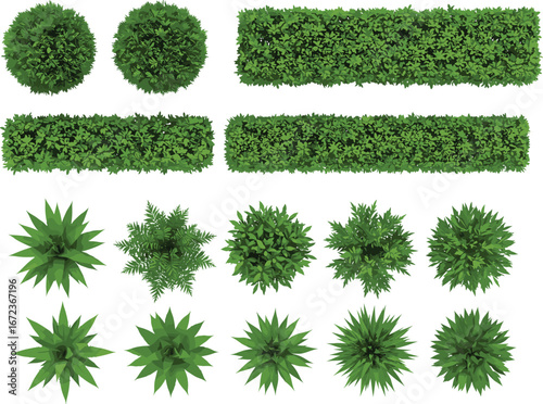 Top view vector illustration of various green bushes, shrubs, leafy plants, and hedges with detailed foliage for landscaping, garden design, architecture, and nature projects.