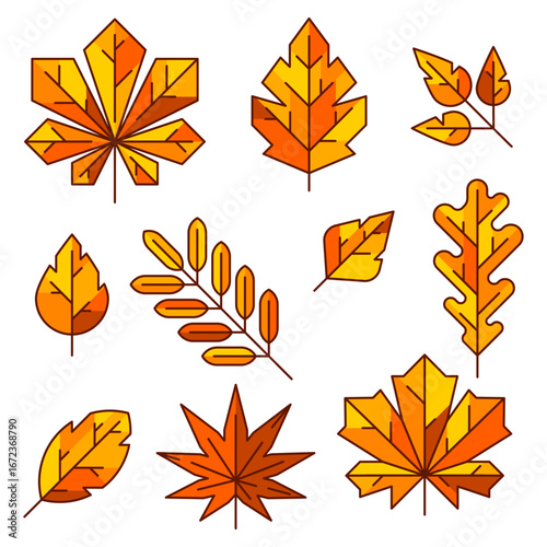 Set of autumn leaves. Illustration of various foliage.