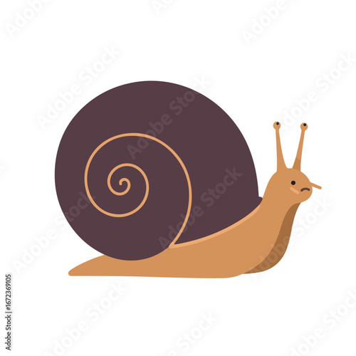 Snail Crawling Slowly on White