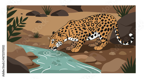 Jaguar Drinking Water Stream Location