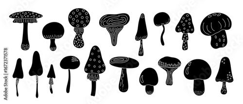 Mushrooms set black silhouette with white decor hand drawn doodle forest plants illustration for seasonal celebration decor, Thanksgiving, Halloween autumn holiday design element, minimalist concept