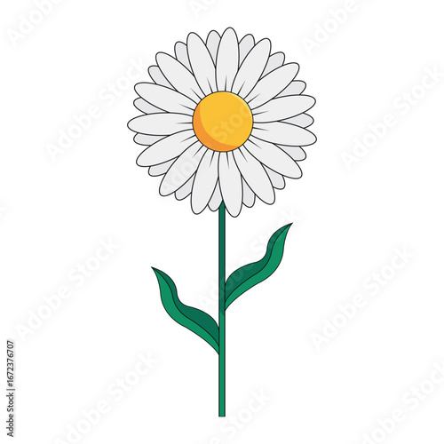 daisy flower clipart vector design isolated on white background