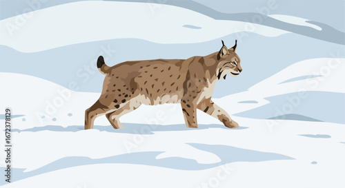 Lynx Walking Slowly Across The Snowy Wilderness