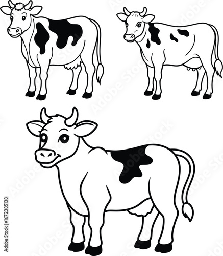 set of black and white cows