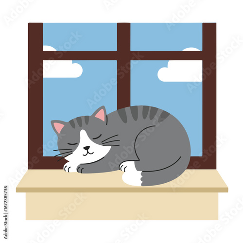 Cat is Sleeping on Window