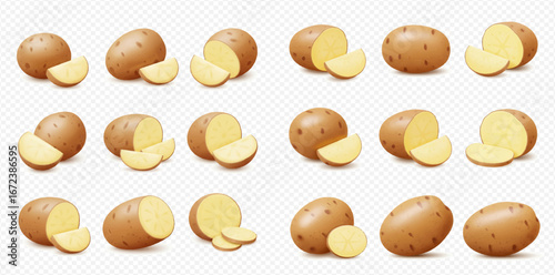 Collection of whole and sliced potatoes, realistic illustration.