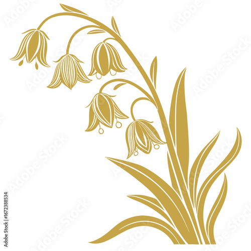 crown imperial yellow on white background 