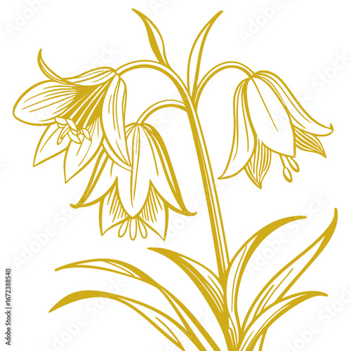 crown imperial yellow vector