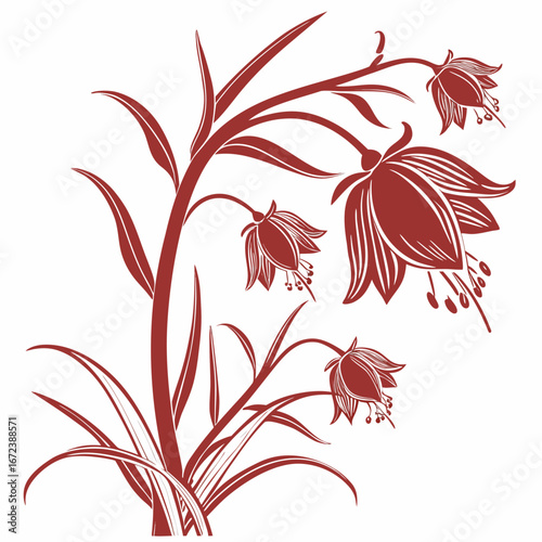 crown imperial red on white background 