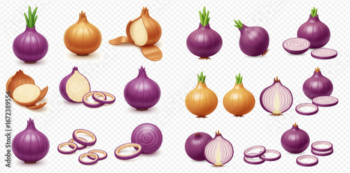 Collection of red and yellow onions, whole, halved, and sliced, isolated on white.