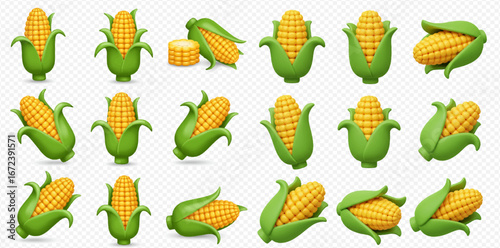 Collection of realistic corn cobs, various angles and orientations, isolated on white background.