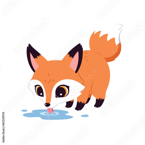 Cartoon Fox Drinking Water from Puddle on Isolated White Background