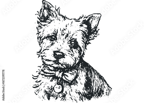 Sketch of a Terrier Dog Wearing a Bow Tie and Tag. Vector hand drawn illustration